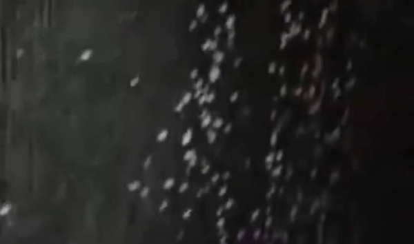 Diario HOY | Reportan graupel en Encarnación: no fue nieve ni aguanieve