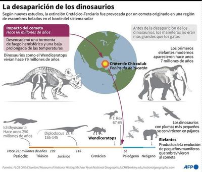 Los dinosaurios estaban en declive ya antes de su extinción - Ciencia - ABC Color
