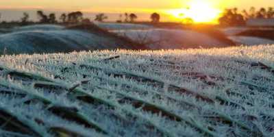 Temperatura más baja en el Chaco: 7 grados bajo cero, heladas amenazan los cultivos - ADN Digital