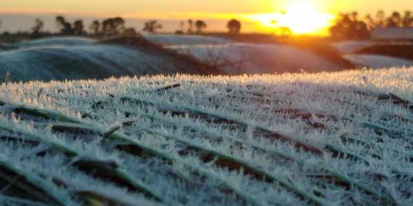 Temperatura más baja en el Chaco: 7 grados bajo cero, heladas amenazan los cultivos - ADN Digital