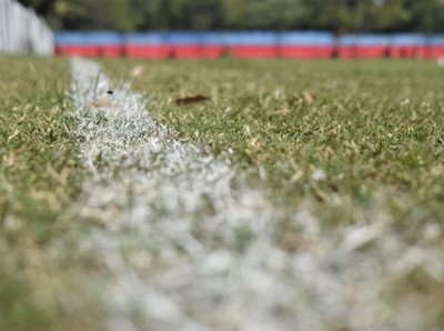 La agenda de la fecha 12 - APF