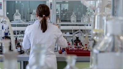 Encuentran la bacteria que causó la peste negra