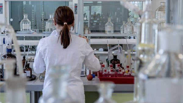 Encuentran la bacteria que causó la peste negra