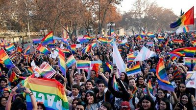 La Comisión de Constitución del Senado de Chile aprueba el proyecto de matrimonio igualitario | Ñanduti