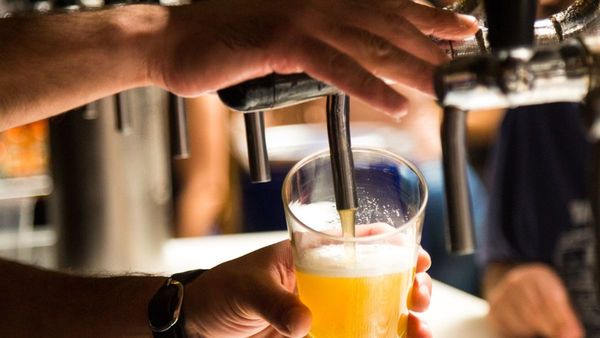 Regalan cerveza a cambio de abrigos para abuelitos