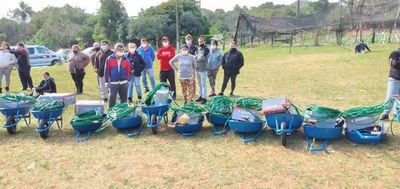 Pequeños productores recibieron semillas y herramientas donación del Banco Mundial - Nacionales - ABC Color