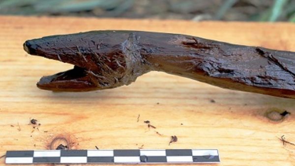 Hallan en Finlandia una serpiente de madera “muy natural” de hace más de 3.900 años | Ñanduti