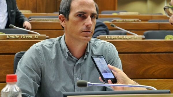 Dicen  que no hay excusas para tratar pérdidas de investidura en el Senado