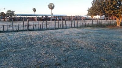 Frío con espectáculo en el Paraná y pérdidas de cultivos en el campo