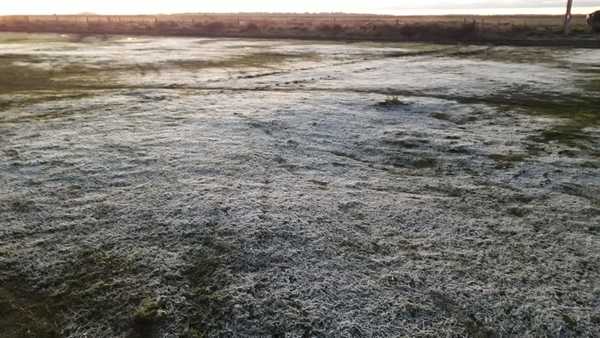 TEMPERATURA BAJÓ HASTA -1.8ºC ESTE MIÉRCOLES EN PARAGUAY