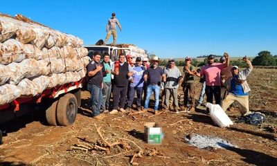 Colono brasileño revoluciona trabajo en el campo y da oportunidad laboral a campesinos – Diario TNPRESS