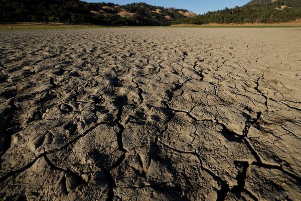 Al menos cinco muertos por la ola de calor sin precedentes en EE.UU. - Mundo - ABC Color