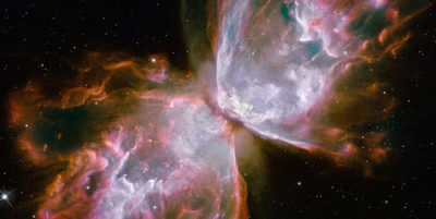 “Que pica como abeja”: Mirá lo que mostró la NASA