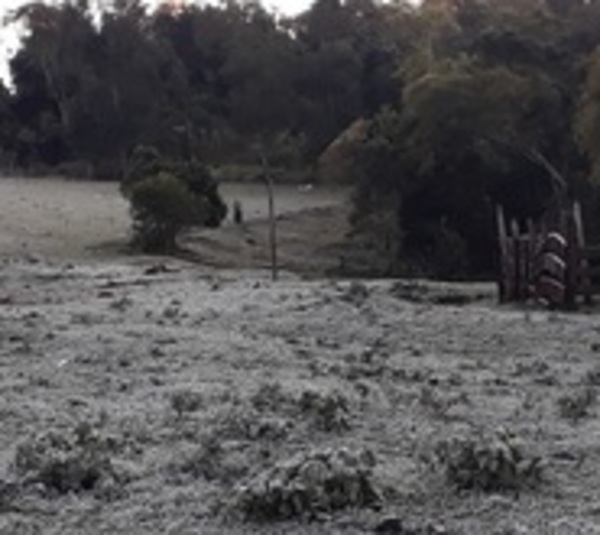 Pozo Hondo registró la segunda temperatura histórica más baja - Paraguay.com