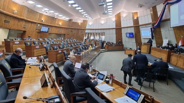 Cámara de Diputados rechaza por unanimidad proyecto sobre invasión de tierras