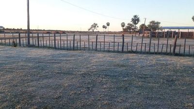 Las bajas temperaturas volvieron a afectar cultivos en Itapúa y Misiones