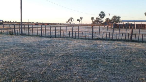 Las bajas temperaturas volvieron a afectar cultivos en Itapúa y Misiones