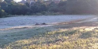 Productores de hortalizas anuncian pérdidas millonarias por heladas