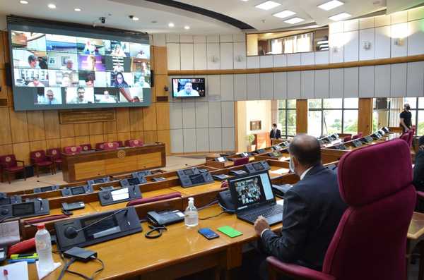 Con plazo vencido: Senado tratará hoy proyecto que amplía vigencia de la Ley de Emergencia Nacional - ADN Digital