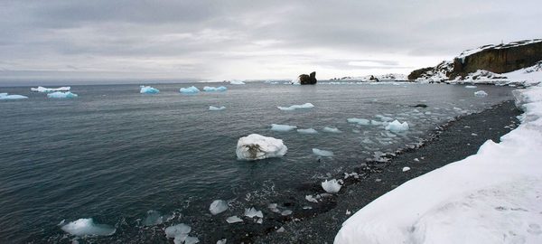 La Antártida registra una temperatura récord de 18,3ºC | Ñanduti