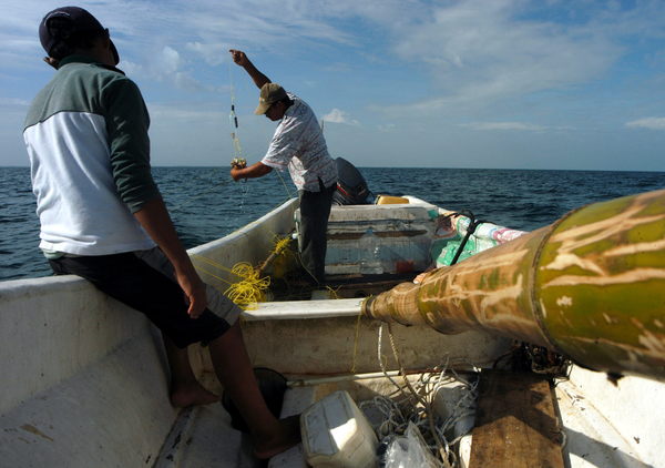 México incumple obligaciones del T-MEC en tema pesquero, según informe - MarketData