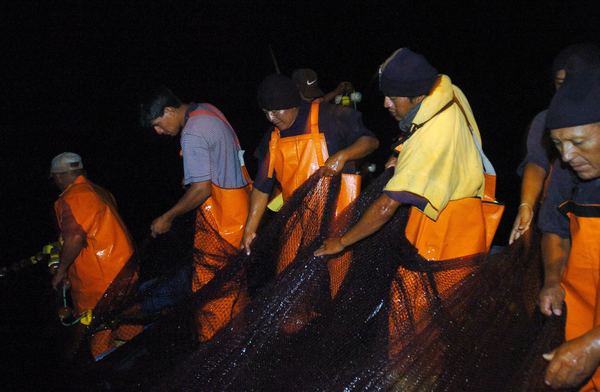 Pesca y minería de Perú crecen respectivamente un 102 % y 67 % en mayo - MarketData