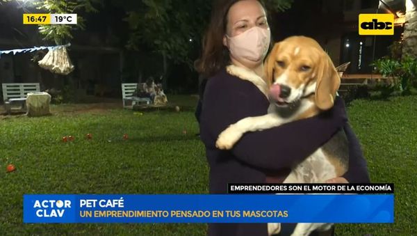 Pet Café: Un emprendimiento pensado en tus mascotas - Factor Clave - ABC Color