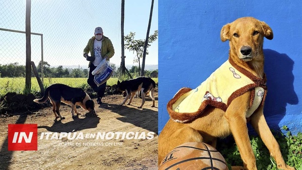 LUCAS AL RESCATE: JOVEN RECORRE LAS FRÍAS MADRUGADAS LLEVANDO MANTAS Y ALIMENTOS A PERROS EN CALLE.