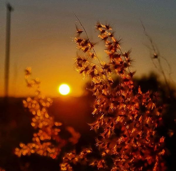Anuncian un fin de semana frío a fresco y luego cálido por la tarde - La Primera Mañana - ABC Color