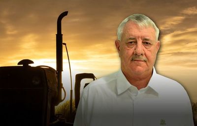 “Paraguay tiene potencial para duplicar la producción” - MarketData