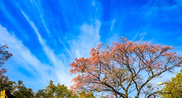 Meteorología anuncia una jornada de fría a cálida y cielo despejado