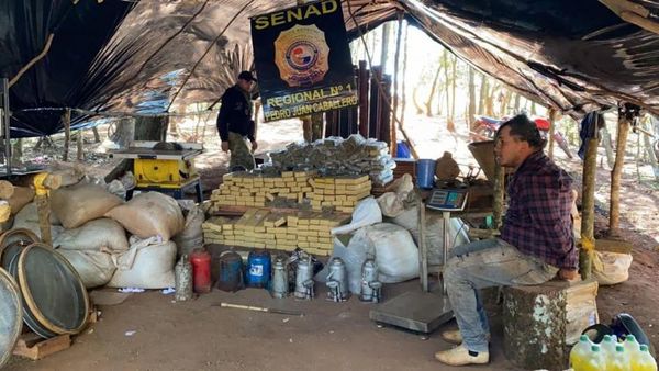 SENAD incautó 7,4 Toneladas de Marihuana en mega campamento narco