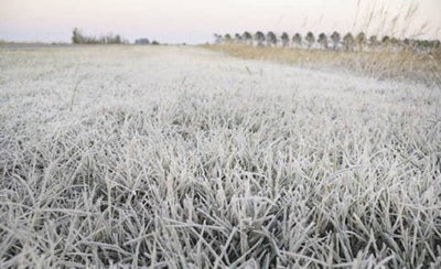 Diario HOY | Un trimestre más de sequía pronostica Climatología
