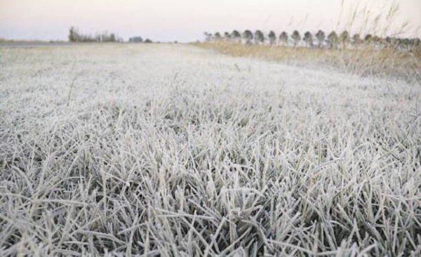 Diario HOY | Un trimestre más de sequía pronostica Climatología