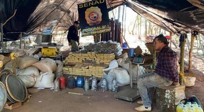 SENAD incautó más de 7 Toneladas de marihuana en Capitán Bado – Prensa 5