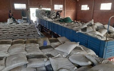 Productores de pequeña y mediana escala logran por segunda vez consecutiva la exportación de yerba