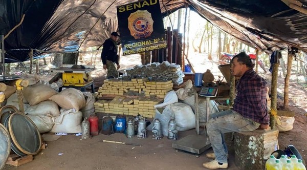 Agentes antinarcóticos incautan más de 7 toneladas de marihuana en campamento narco en Capitán Bado