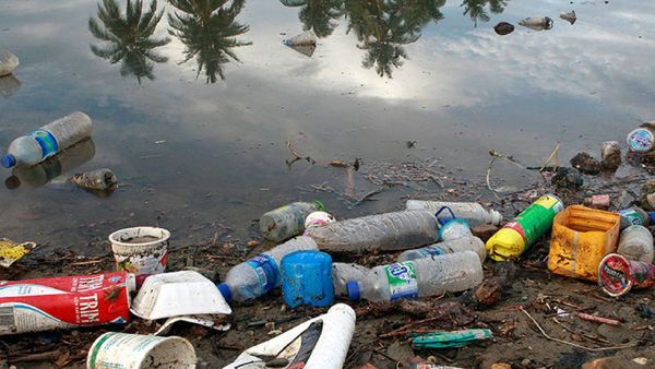 Contaminación por plásticos: ¿Se cruzó el punto de no retorno?