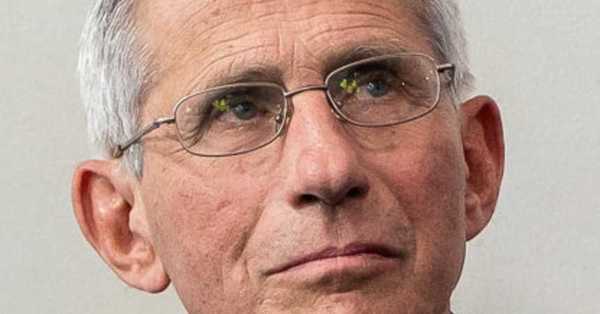 Fauci dijo que “no está convencido” de que el Covid-19 se haya originado de forma natural - C9N