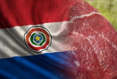 Paraguay: Ejemplo de modelo exitoso para exportar carne vacuna sin descuidar el consumo local