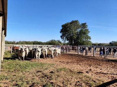 Exitosa jornada de campo denominado “Día de la Ganadería Chaqueña”