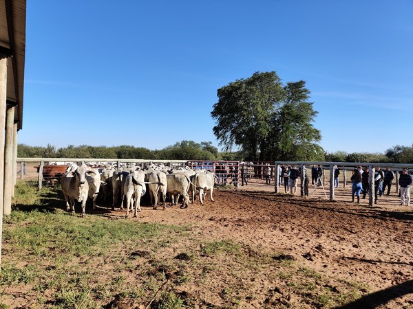 Exitosa jornada de campo denominado “Día de la Ganadería Chaqueña”