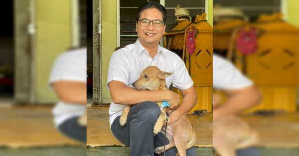 La perrita que salvó a su familia humana de un incendio en Malasia - SNT
