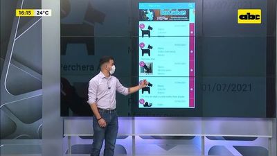 PulgApp la aplicación para nuestras mascotas - Factor Clave - ABC Color