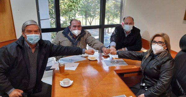 La Nación / Injerencia de Abdo provoca dificultades entre senadores liberales, afirman