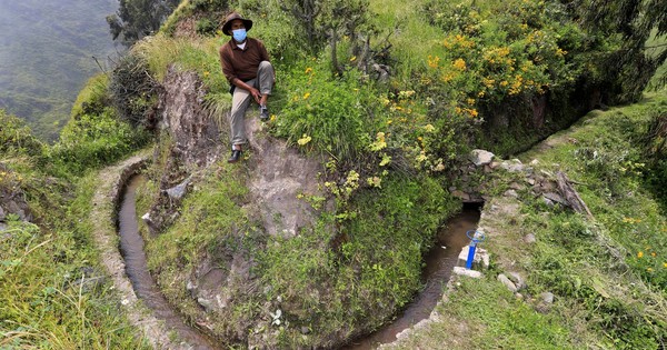 La Nación / Asesinan a líder indígena en Amazonía peruana, el segundo este año