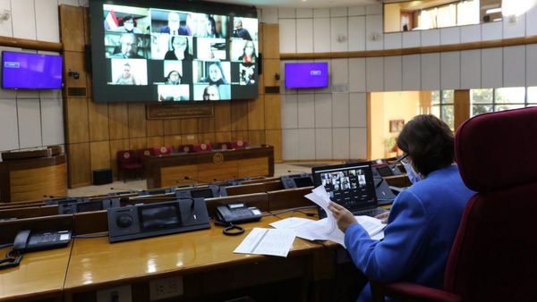 Debaten sobre inscripción automática para voto de paraguayos en el exterior