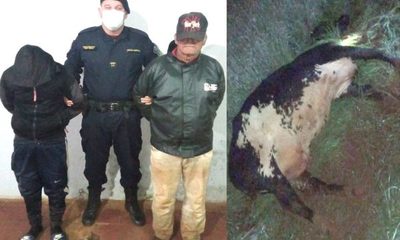 Caen detenidos infraganti dos abigeos, en Minga Guazú – Diario TNPRESS