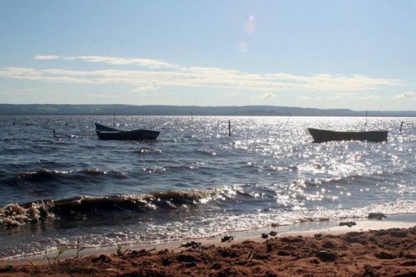 “Corremos el riesgo que desaparezca el Lago Ypacaraí” si no se controla la urbanización, afirman | Ñanduti