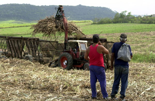 Cuba cierra una de las peores zafras azucareras de su historia - MarketData